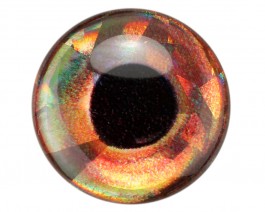3D Epoxy Fish Eyes, Holographic Roach, 10 mm